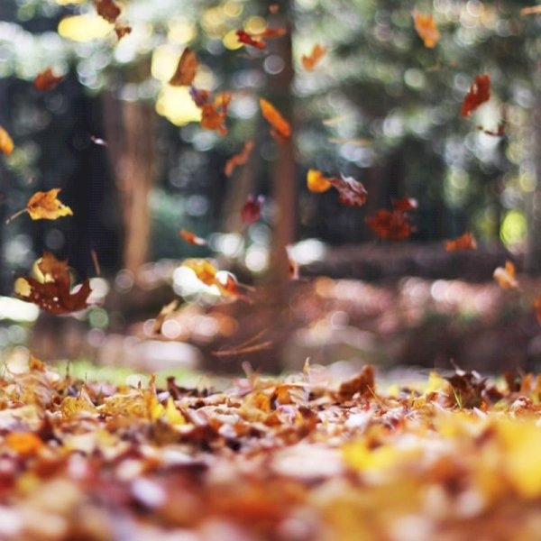 Autumn Furniture Trends 2019