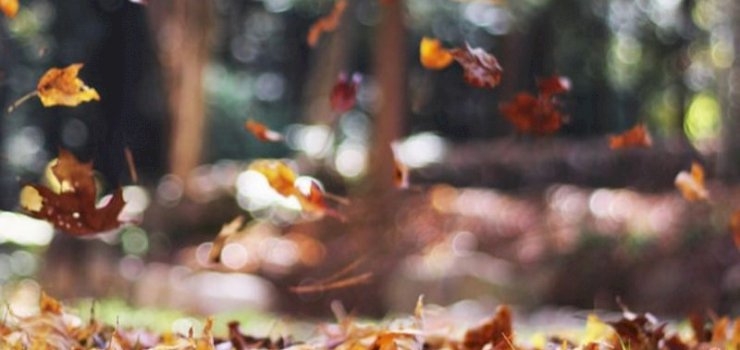 Autumn Furniture Trends 2019