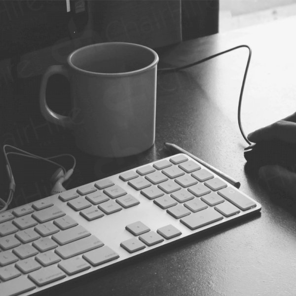 Where To Buy Unicorn Meat?