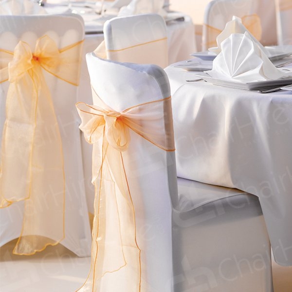5 Wonderful Ways to Wow with Chair Ribbons
