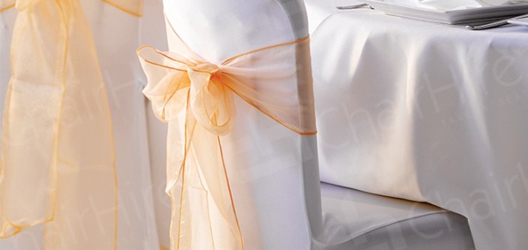 5 Wonderful Ways to Wow with Chair Ribbons