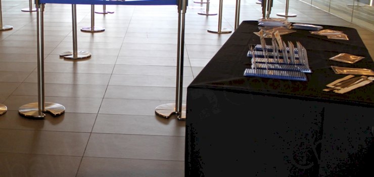 Going VIP… Are You Brave Enough?