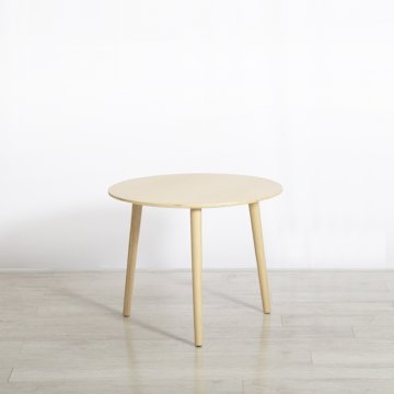 Ash Coffee Table