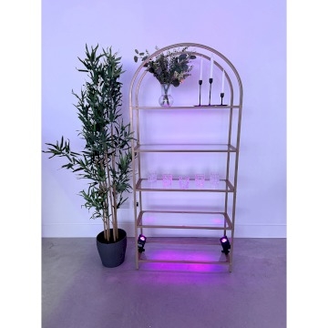 5-Tier Arched Shelving Unit