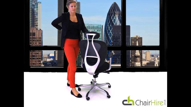 Ergonomic Office Chair