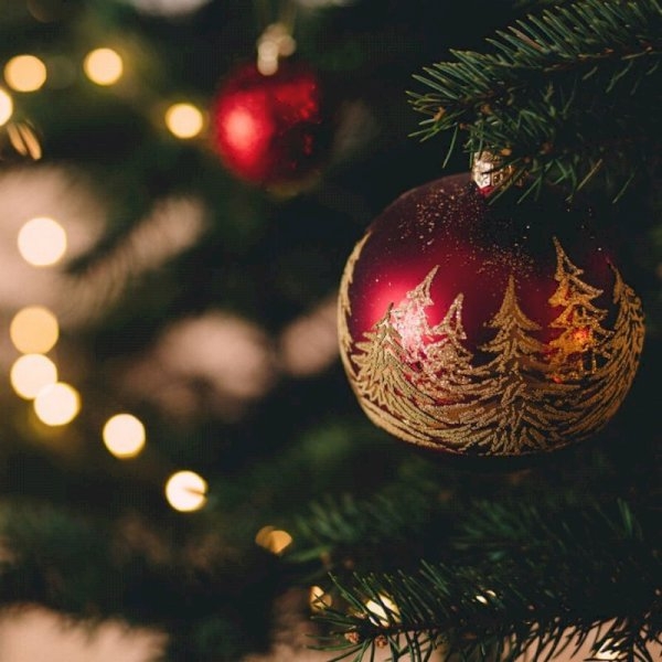 The Basics to Planning a Bespoke Christmas Party The Basics to Planning a Bespoke Christmas Party