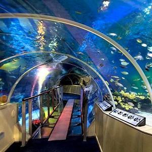 Valentines In London https://d1hcs5uofxldvl.cloudfront.net/chair-hire/article_additional/valentines-in-london-2/valentines-in-london-2.jpg - The London Aquarium