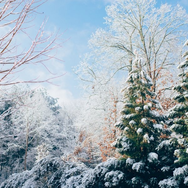 Best Things to do During the Christmas Season Best Things to do During the Christmas Season