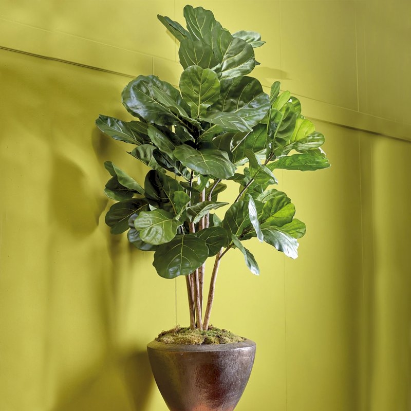 Artificial 5ft Fiddle Leaf Tree