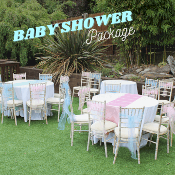 Baby Shower Package Baby Shower Package