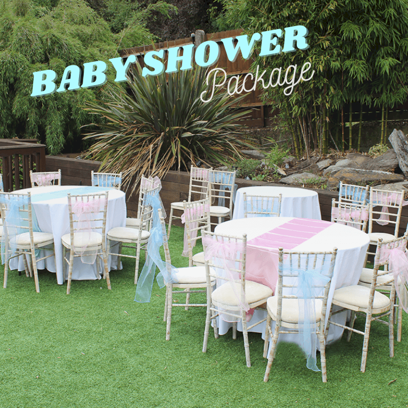 Baby Shower Package