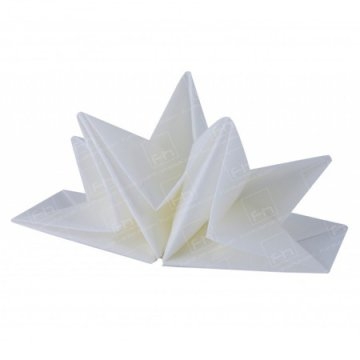 Napkin - White Napkin - White